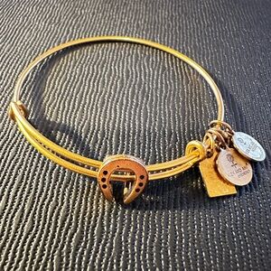 Alex and Ani Gold Horseshoe Charm Bracelet